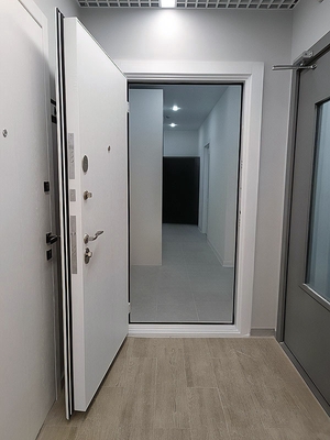 Белая входная дверь Белая входная дверь