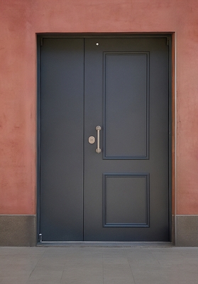 Полуторная порошковая дверь